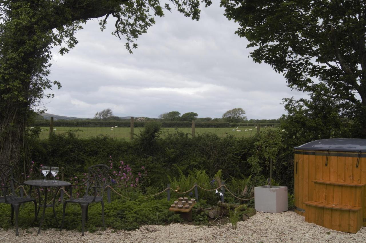 Nefoedd Romantic Shepherds Hut Swansea